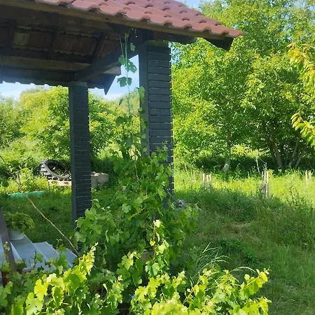 Summer House In Belgrade Slanci